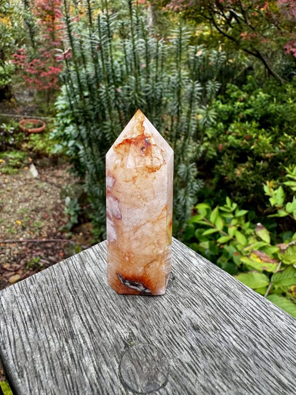 Flower Agate/Quartz Point