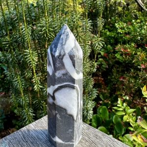 Thousand Eye Jasper