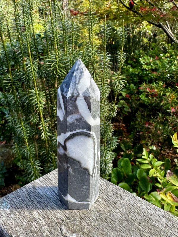 Thousand Eye Jasper