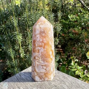 Flower Agate Point