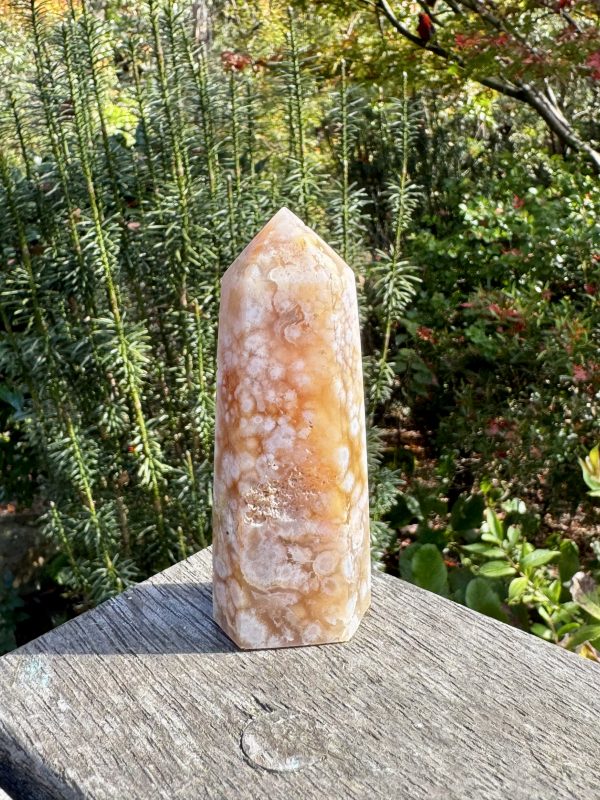 Flower Agate Point