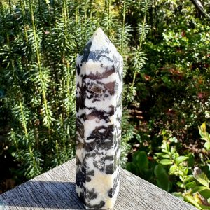 Zebra Jasper Point