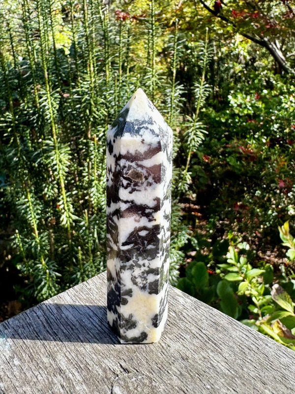 Zebra Jasper Point