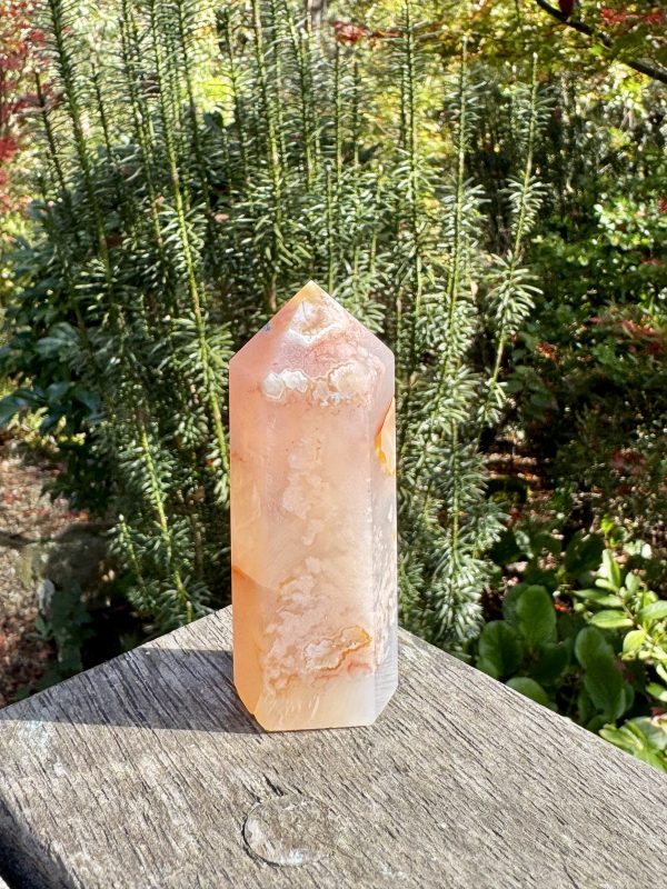 Clear Quartz & Flower Agate Point