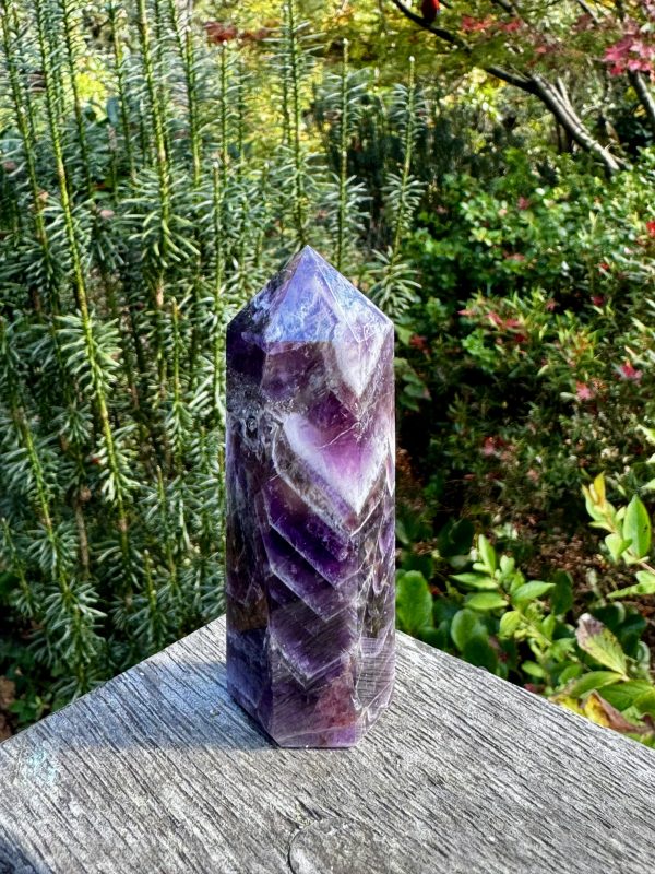 Chevron Amethyst Point
