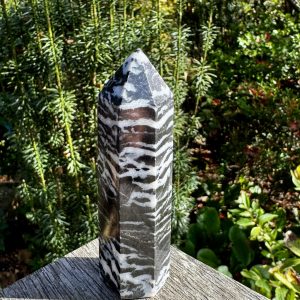 Zebra Jasper Point