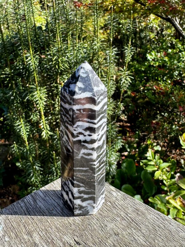Zebra Jasper Point