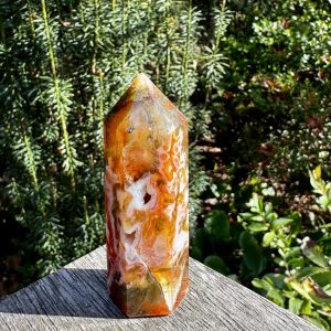 Red Moss Agate