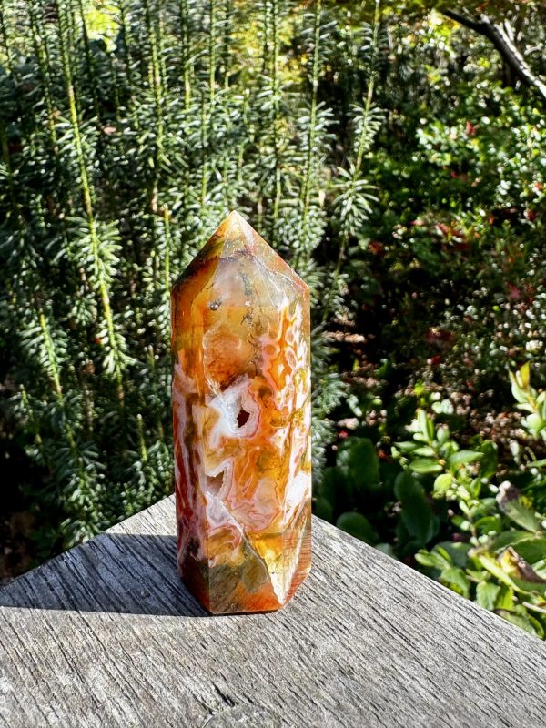 Red Moss Agate