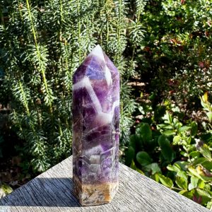 Chevron Amethyst Point
