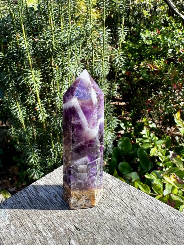 Chevron Amethyst Point