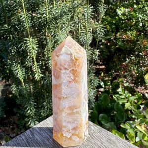 Flower Agate Point