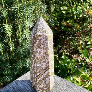Leopard Jasper Point