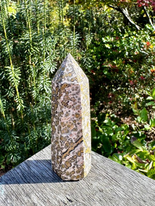 Leopard Jasper Point