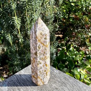 Leopard Jasper Point