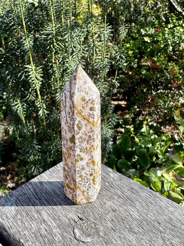 Leopard Jasper Point