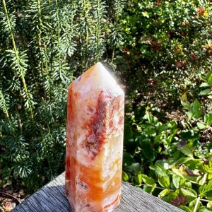 Carnelian Flower Agate