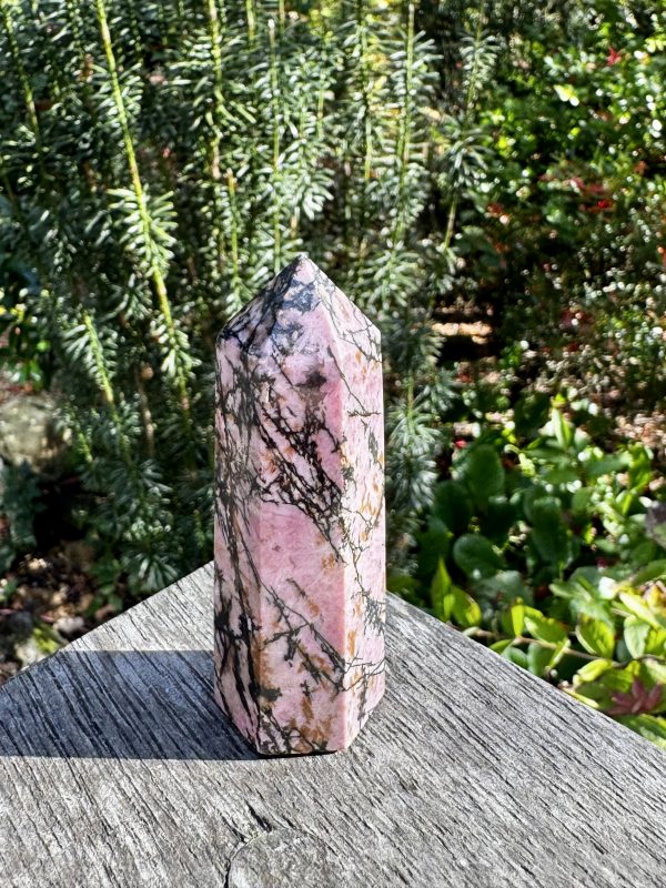Rhodonite Point