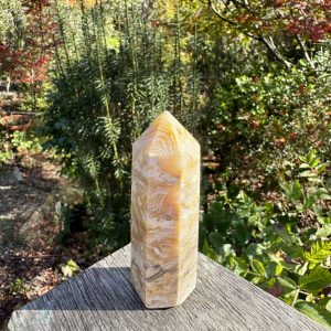 Mexican Crazy Lace Agate Point