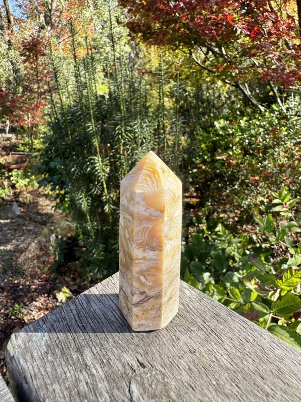 Mexican Crazy Lace Agate Point